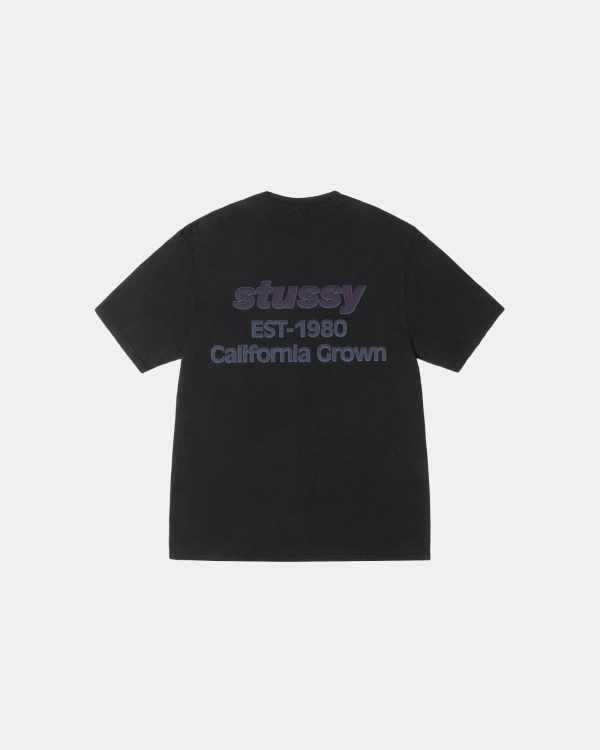 CALIFORNIA GROWN TEE PIGMENT DYED - Image 2