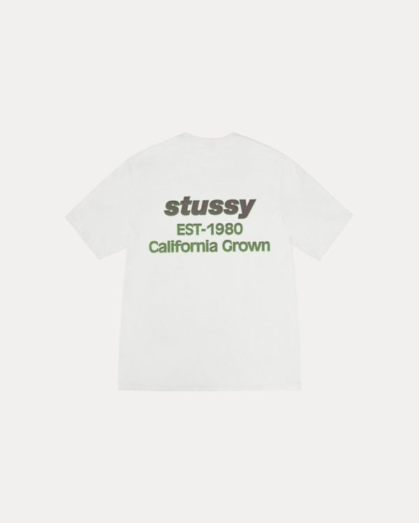 CALIFORNIA GROWN TEE PIGMENT DYED - Image 2