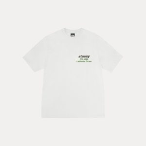 CALIFORNIA GROWN TEE PIGMENT DYED
