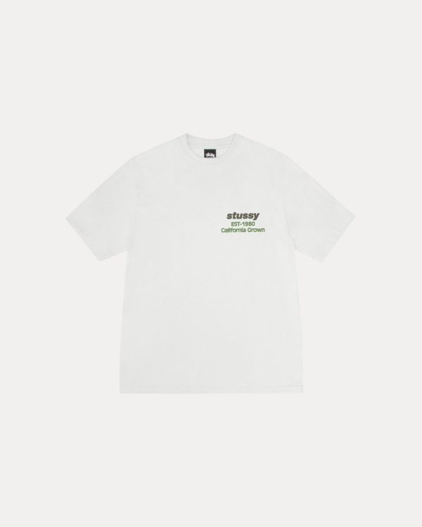 CALIFORNIA GROWN TEE PIGMENT DYED